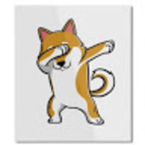 Meet your Posher, Randy